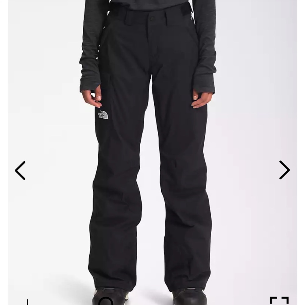 The north face freedom insulated snow pants
